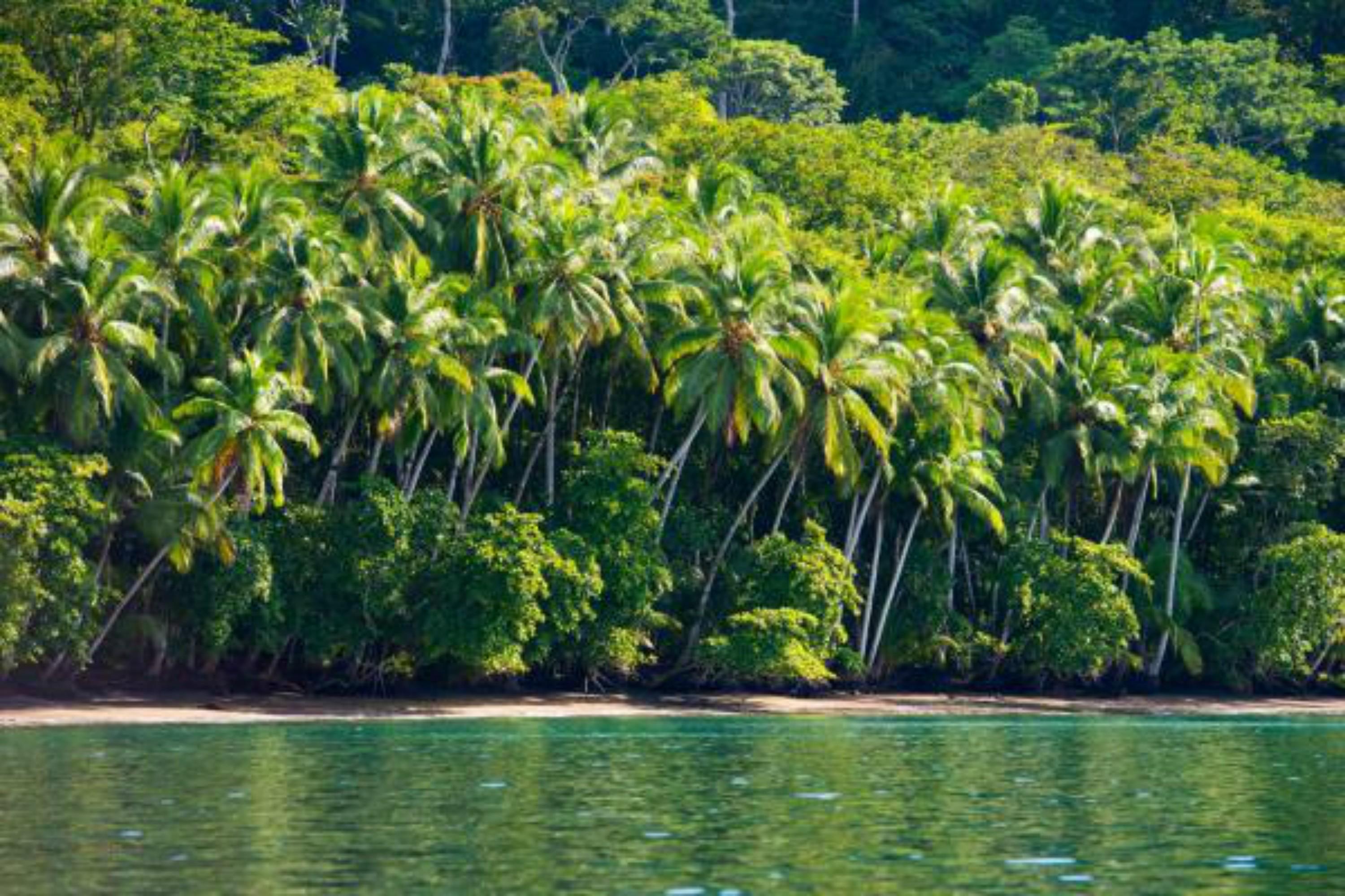 Playa Nicuesa Rainforest Eco Sanctuary Golfito Buitenkant foto