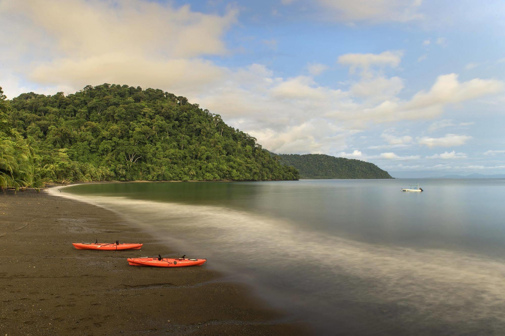 Playa Nicuesa Rainforest Eco Sanctuary Golfito Buitenkant foto