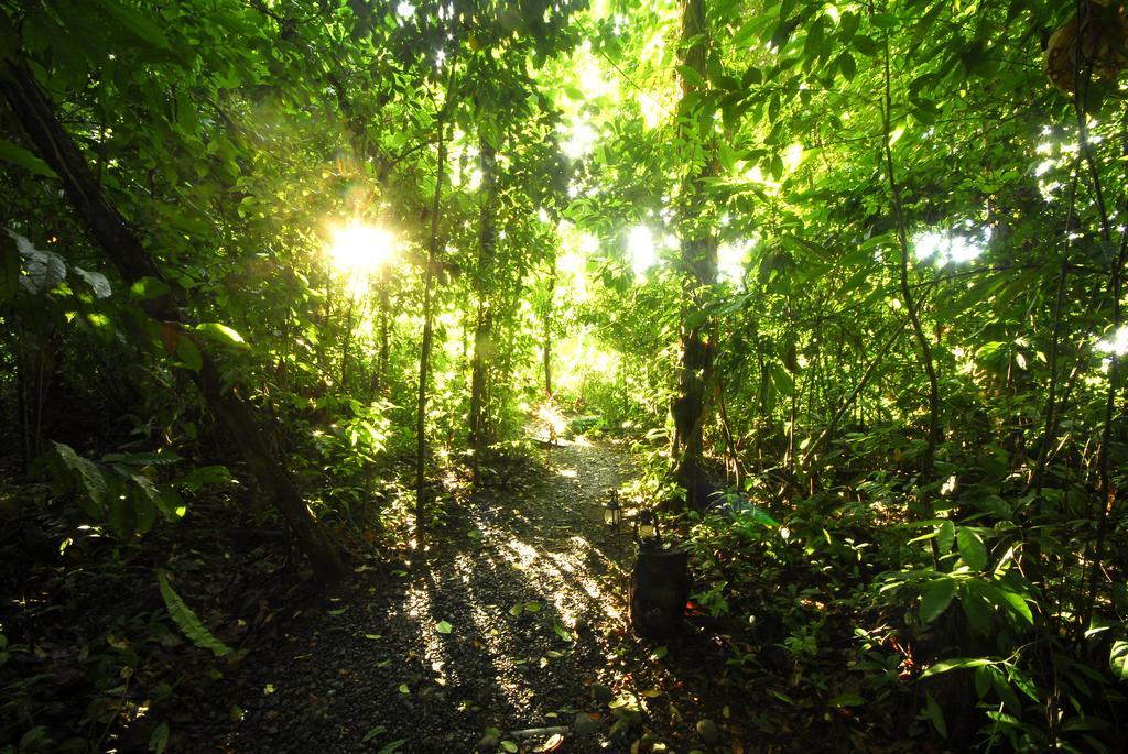 Playa Nicuesa Rainforest Eco Sanctuary Golfito Buitenkant foto