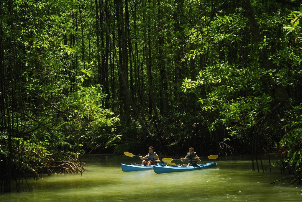 Playa Nicuesa Rainforest Eco Sanctuary Golfito Buitenkant foto